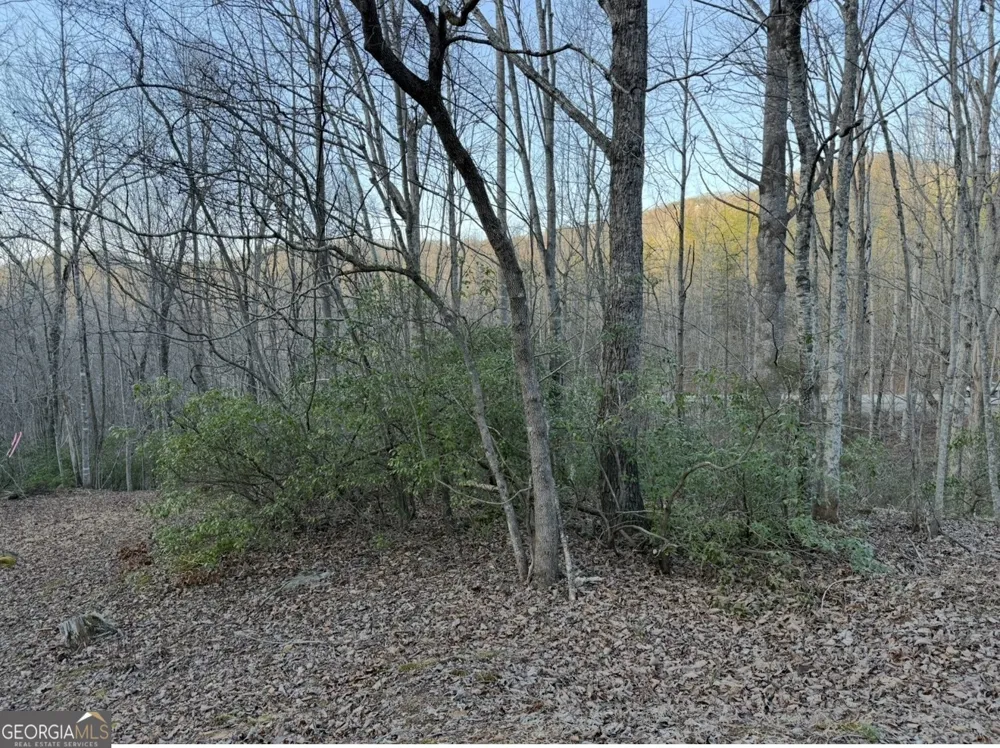 0 Gove Sautee Nacoochee, GA 30571