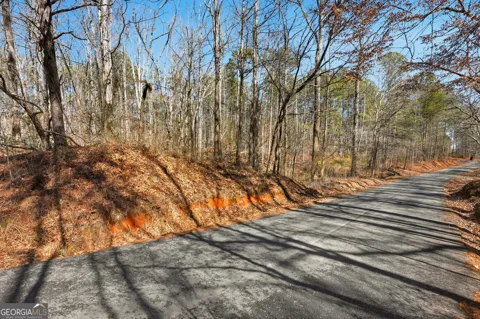 0 Pickett Bridge RD