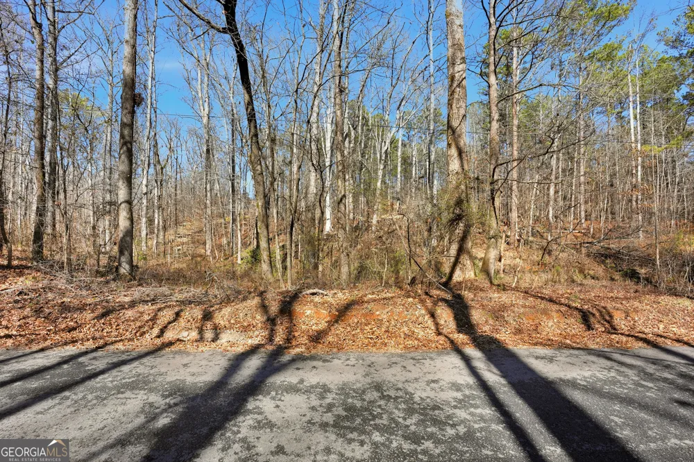0 Pickett Bridge RD Covington, GA 30016