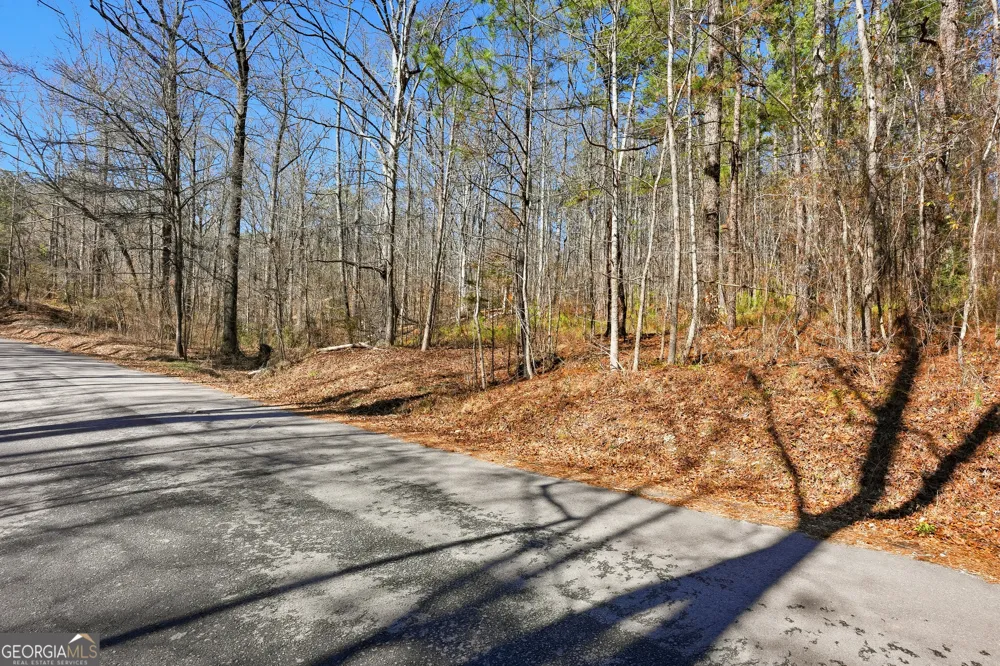 0 Pickett Bridge RD Covington, GA 30016