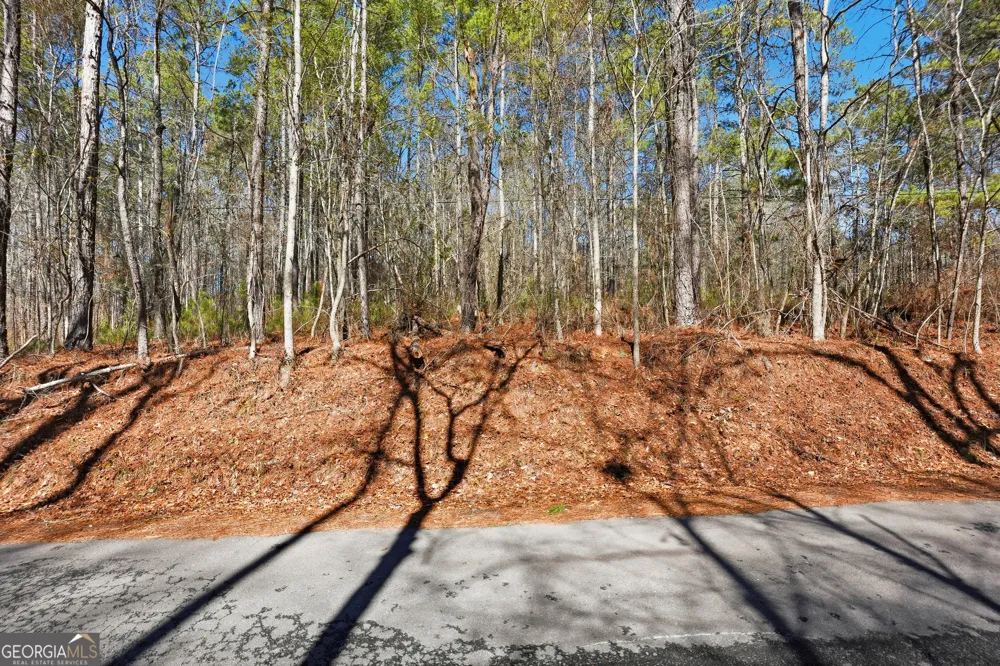 0 Pickett Bridge RD Covington, GA 30016