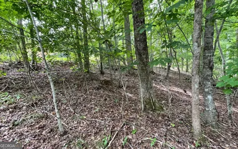 LOT 3 Morgan Creek Ph Ii