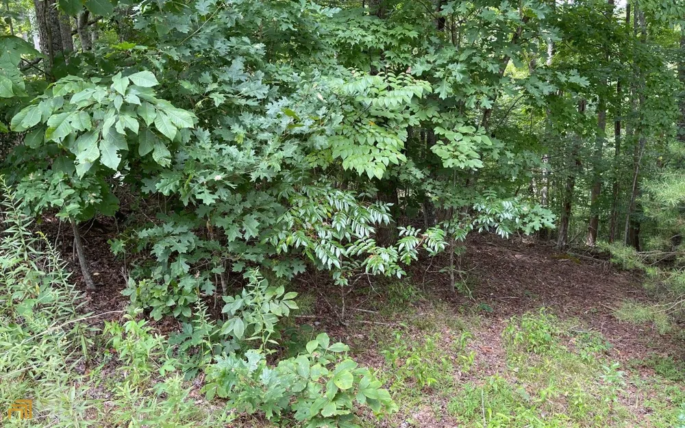 LOT 3 Morgan Creek Ph Ii Young Harris, GA 30582