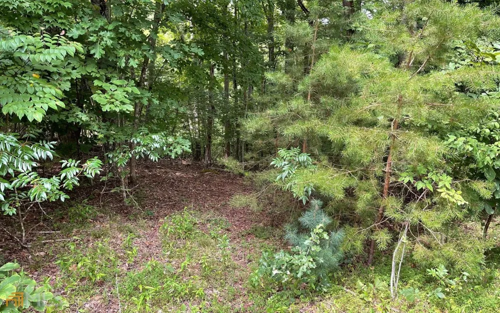 LOT 3 Morgan Creek Ph Ii Young Harris, GA 30582