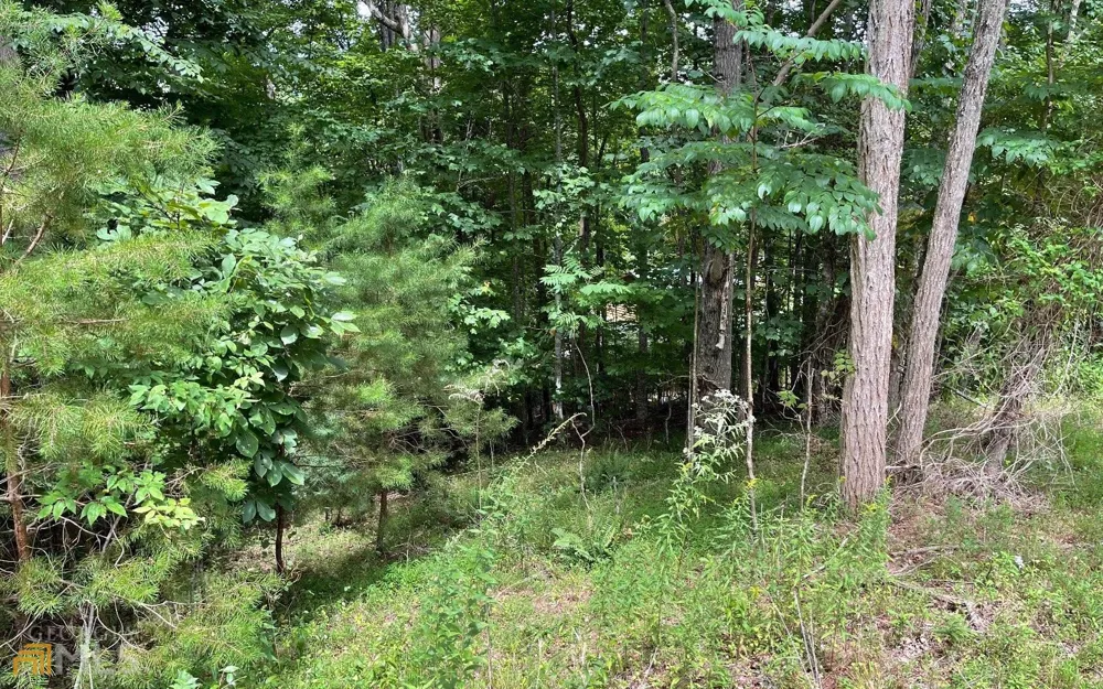 LOT 3 Morgan Creek Ph Ii Young Harris, GA 30582