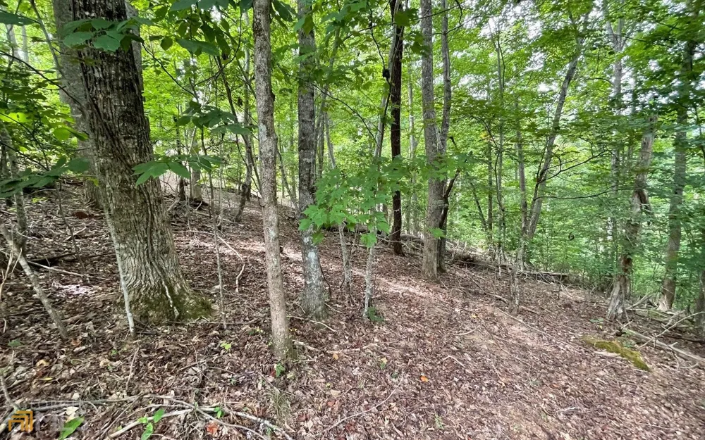 LOT 3 Morgan Creek Ph Ii Young Harris, GA 30582
