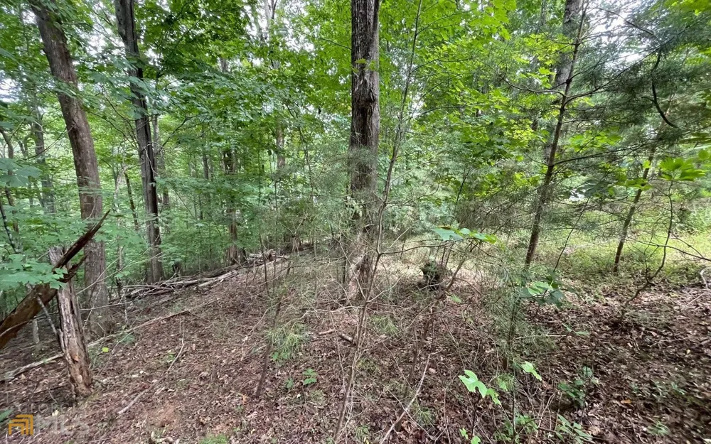 LOT 3 Morgan Creek Ph Ii Young Harris, GA 30582