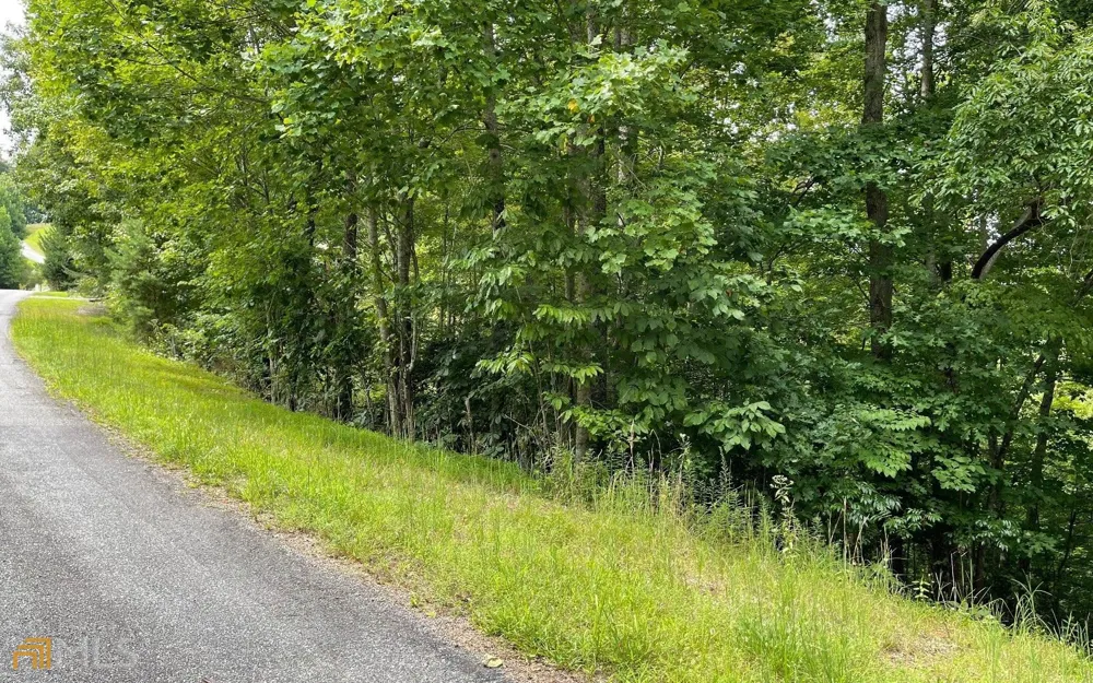 LOT 3 Morgan Creek Ph Ii Young Harris, GA 30582