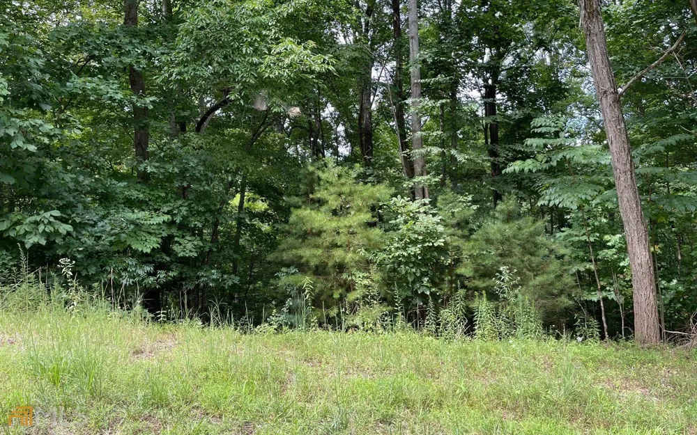 LOT 3 Morgan Creek Ph Ii Young Harris, GA 30582