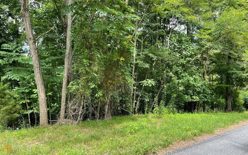 LOT 3 Morgan Creek Ph Ii Young Harris, GA 30582