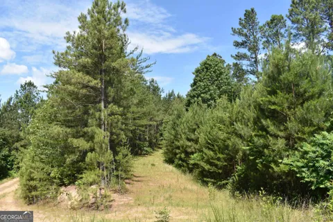 0 Nickelsville RD