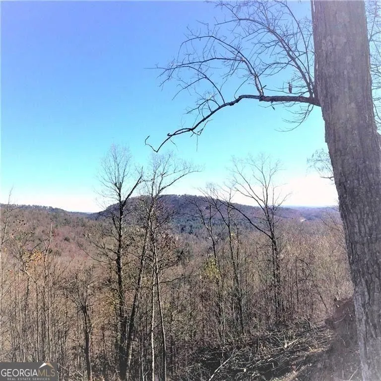 8104 Wilderness PKWY Jasper, GA 30143