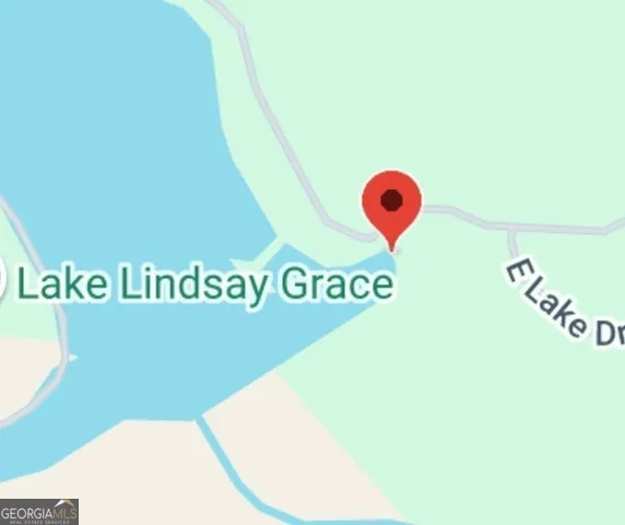 1435 E Lake DR Screven, GA 31560