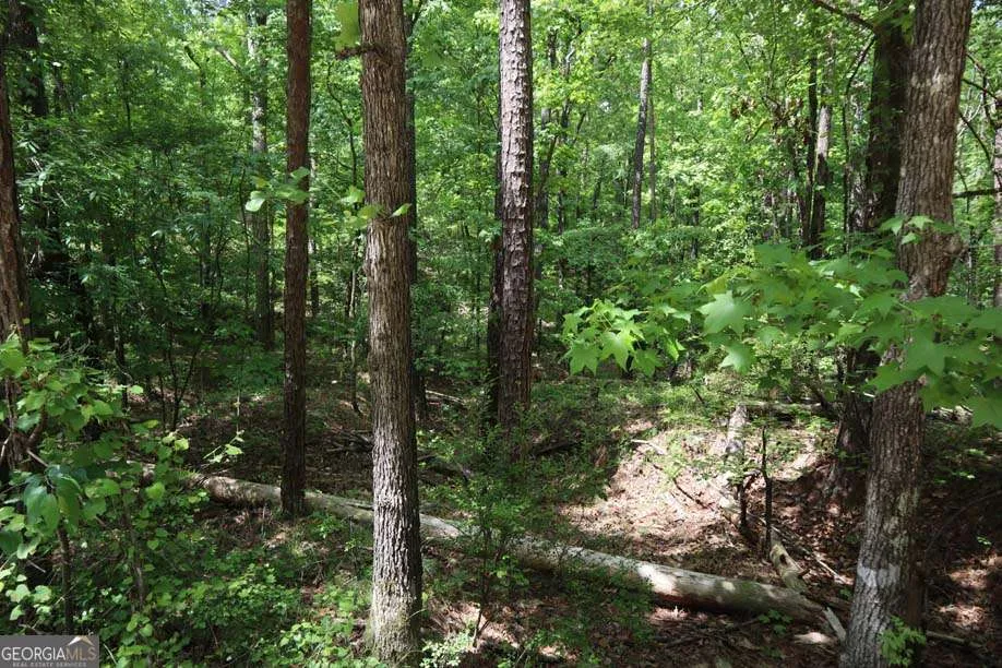 77 Cherokee RD SW Milledgeville, GA 31061