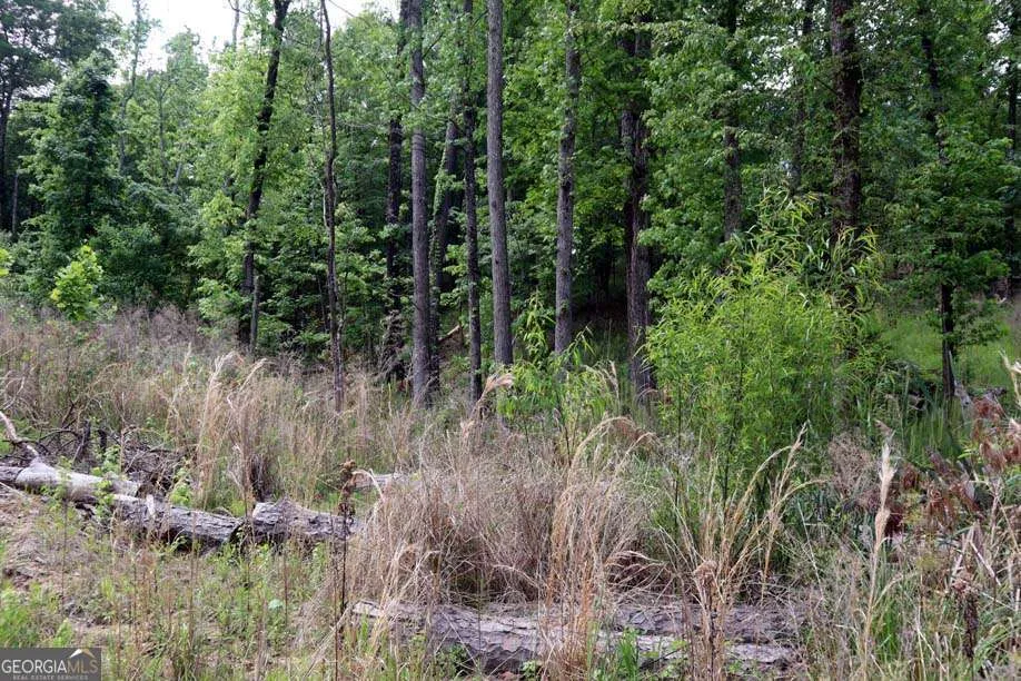 77 Cherokee RD SW Milledgeville, GA 31061