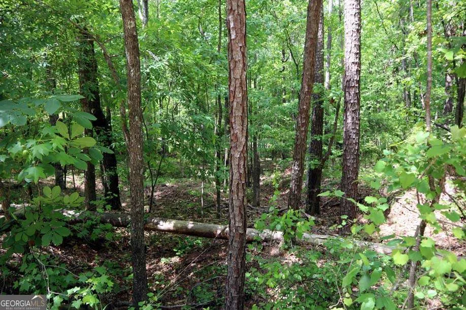 77 Cherokee RD SW Milledgeville, GA 31061