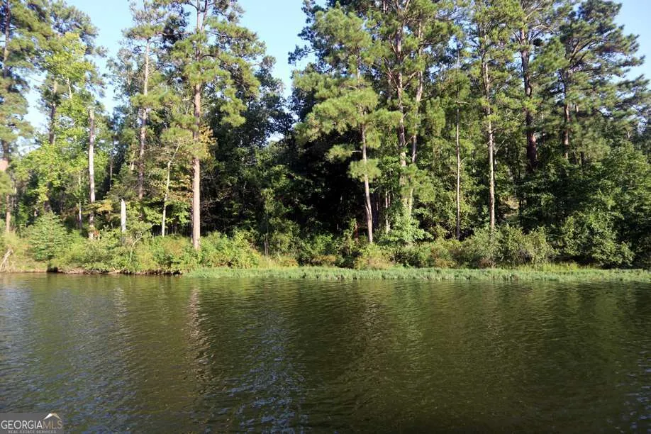77 Cherokee RD SW Milledgeville, GA 31061