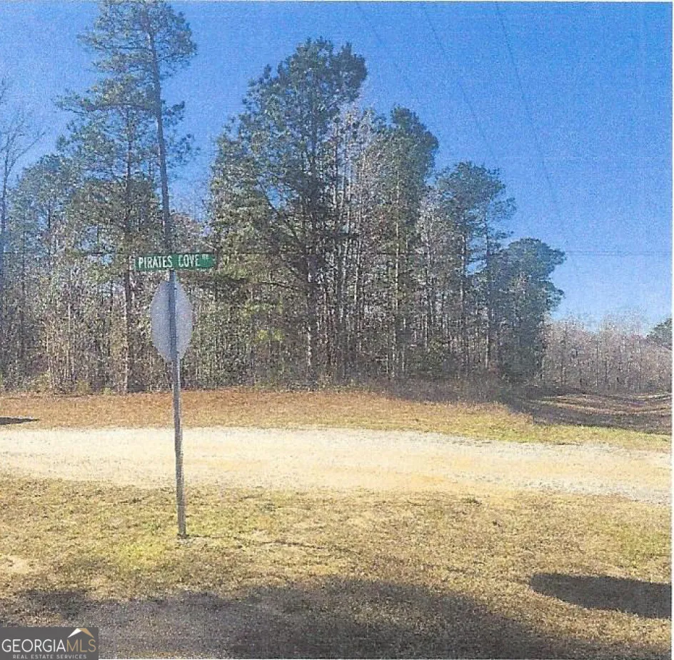 (EASTERN 1/2 OF LOT 10) Thomson Hwy Warrenton, GA 30828