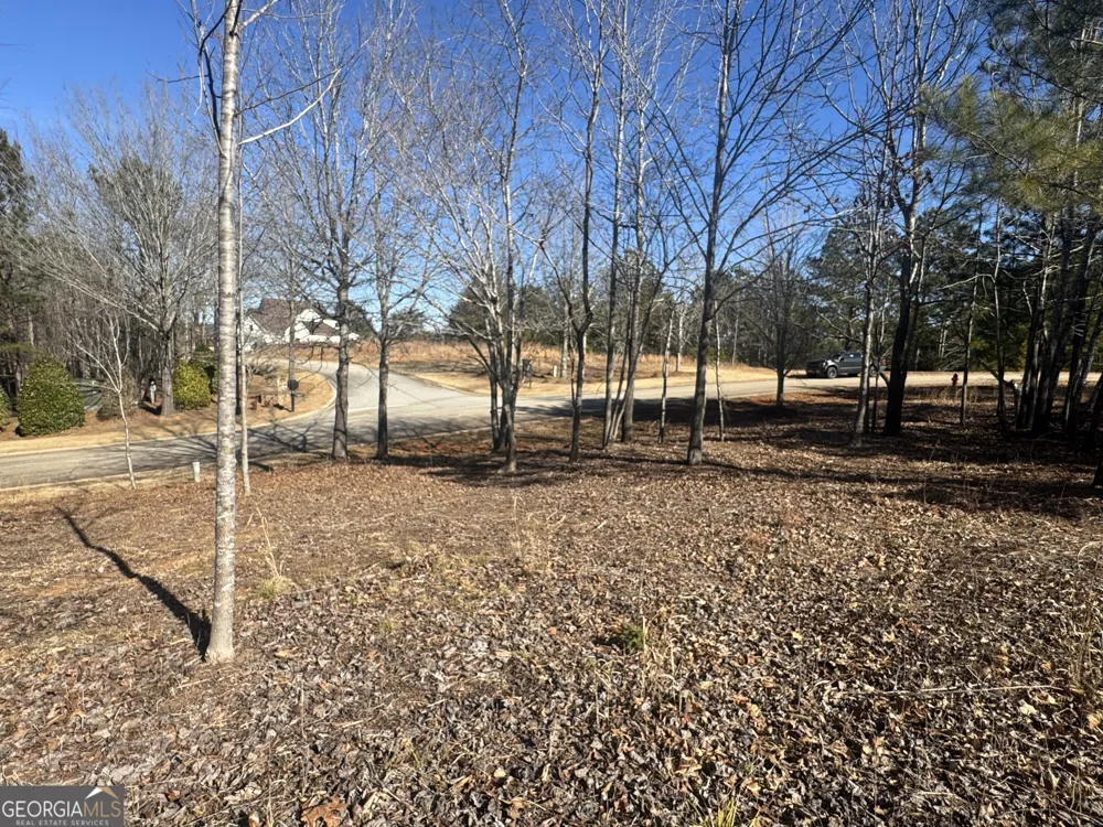 1541 Currahee Club DR Toccoa, GA 30577