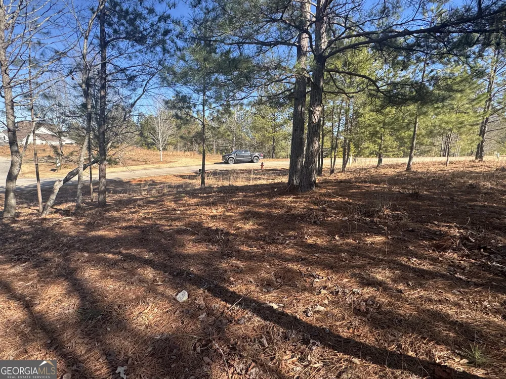 1541 Currahee Club DR Toccoa, GA 30577