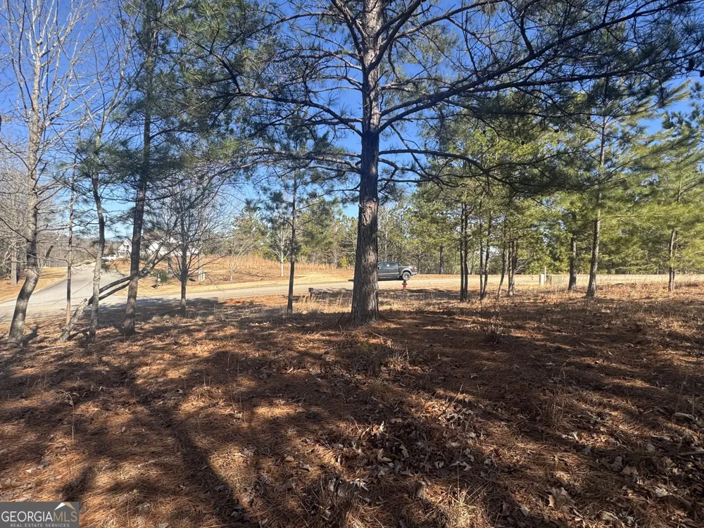 1541 Currahee Club DR Toccoa, GA 30577