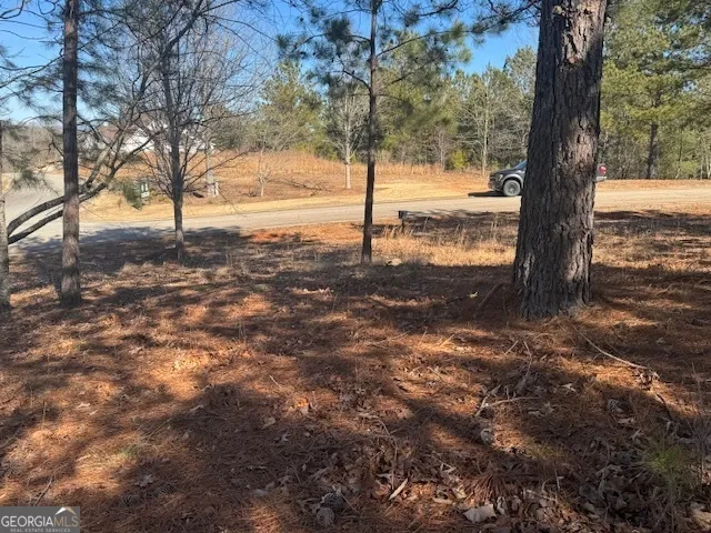 1541 Currahee Club DR Toccoa, GA 30577