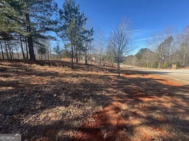 1541 Currahee Club DR Toccoa, GA 30577