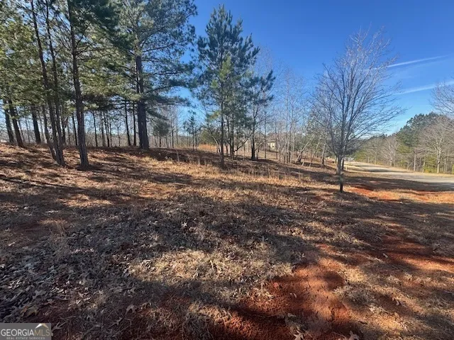 1541 Currahee Club DR Toccoa, GA 30577