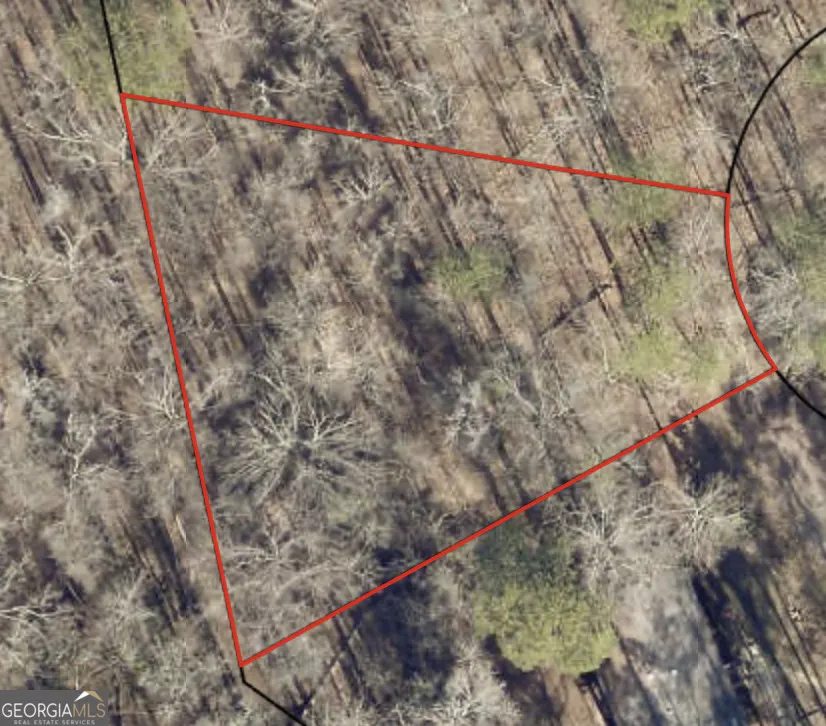 0 Brant CT Monticello, GA 31064