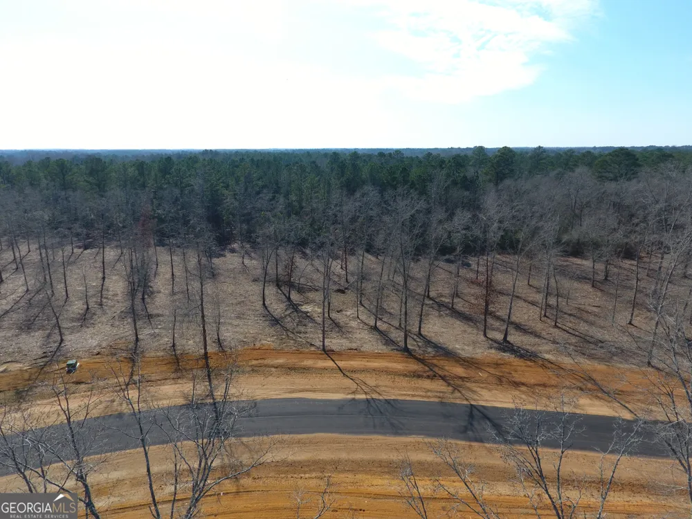 0 Holly Ridge Lot 3 Dublin, GA 31021