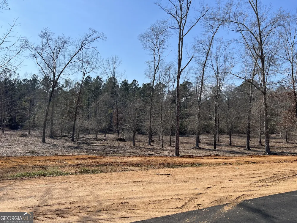 0 Holly Ridge Lot 3 Dublin, GA 31021