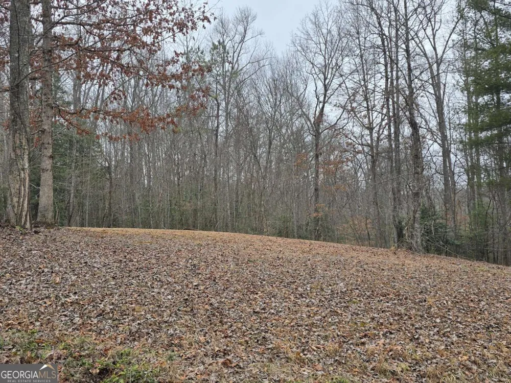 LOT 32 Ridges At Mill CRK Murphy, NC 28906
