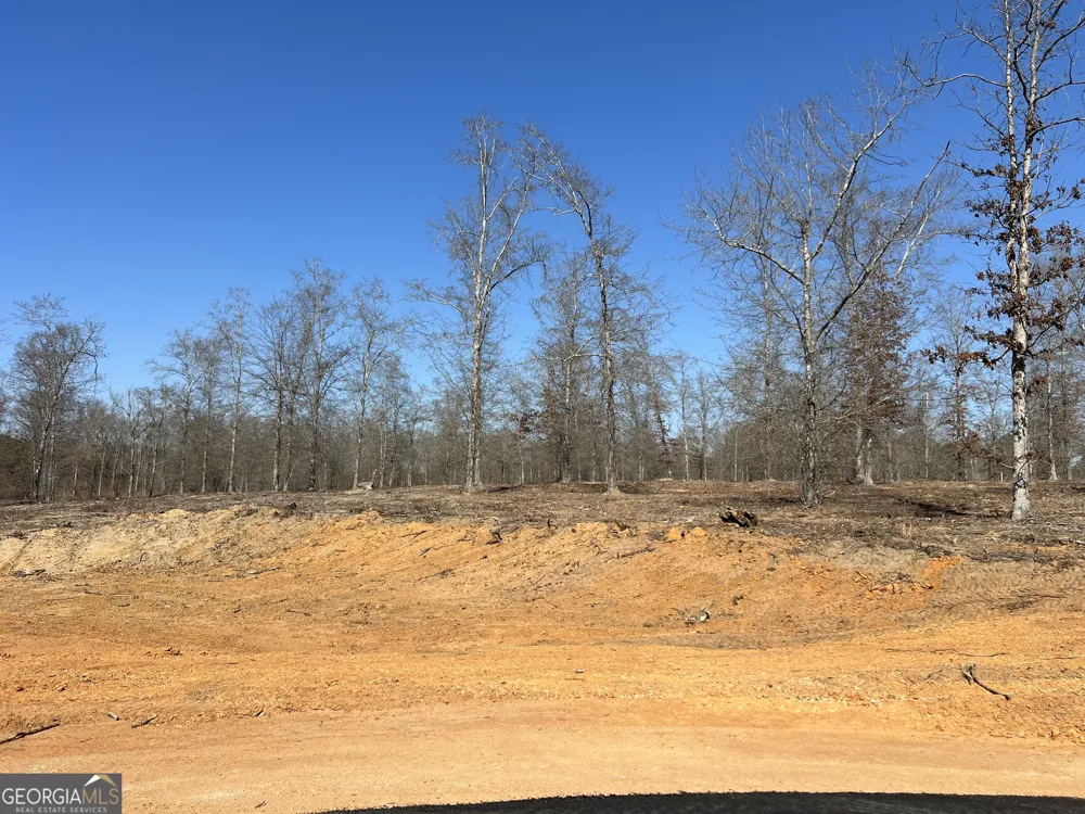0 Holly Ridge Lot 5 Dublin, GA 31021