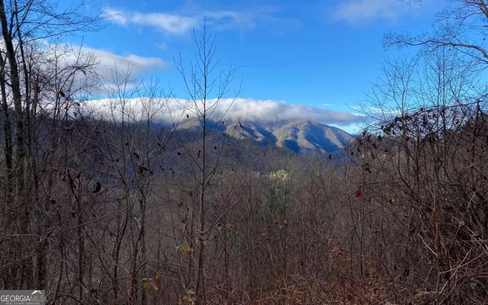 LOT M2 Georgianna LN Bryson City, NC 28713