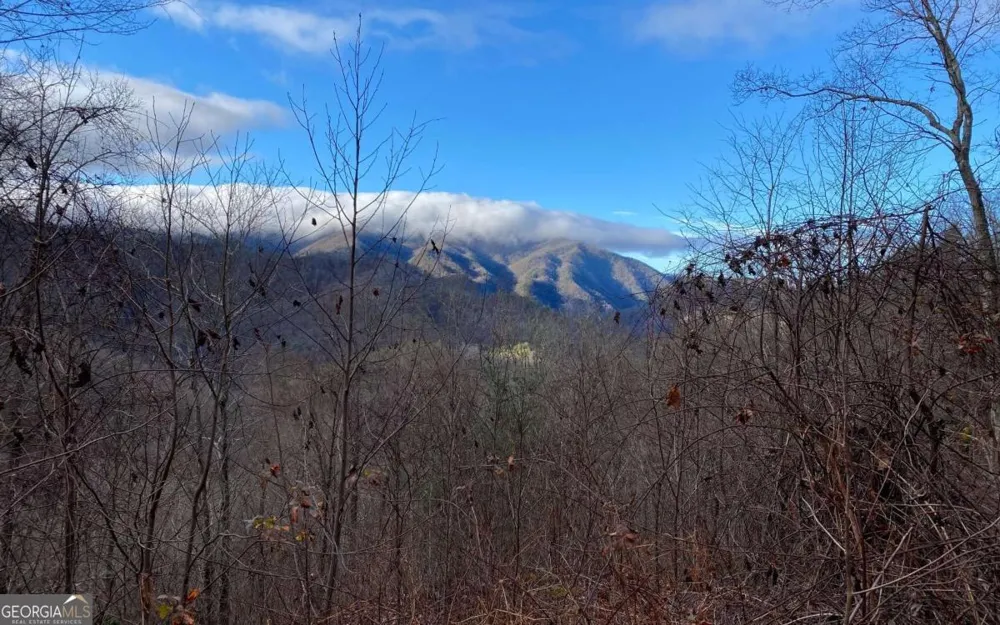 LOT M2 Georgianna LN Bryson City, NC 28713