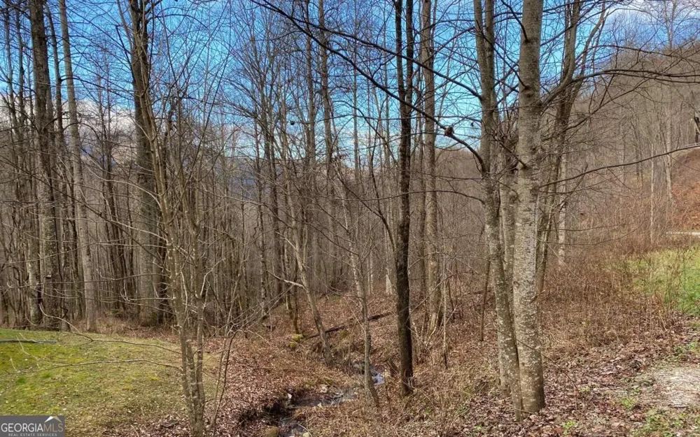 LOT M2 Georgianna LN Bryson City, NC 28713
