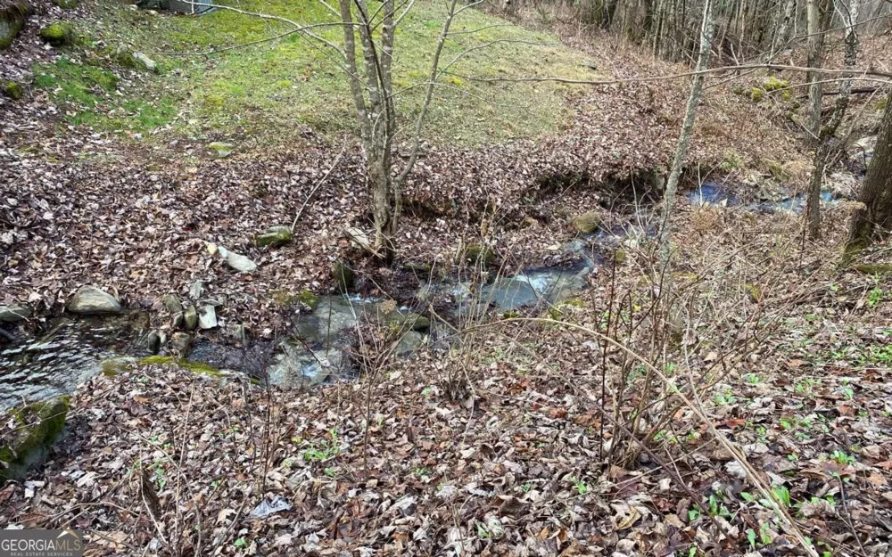 LOT M2 Georgianna LN Bryson City, NC 28713