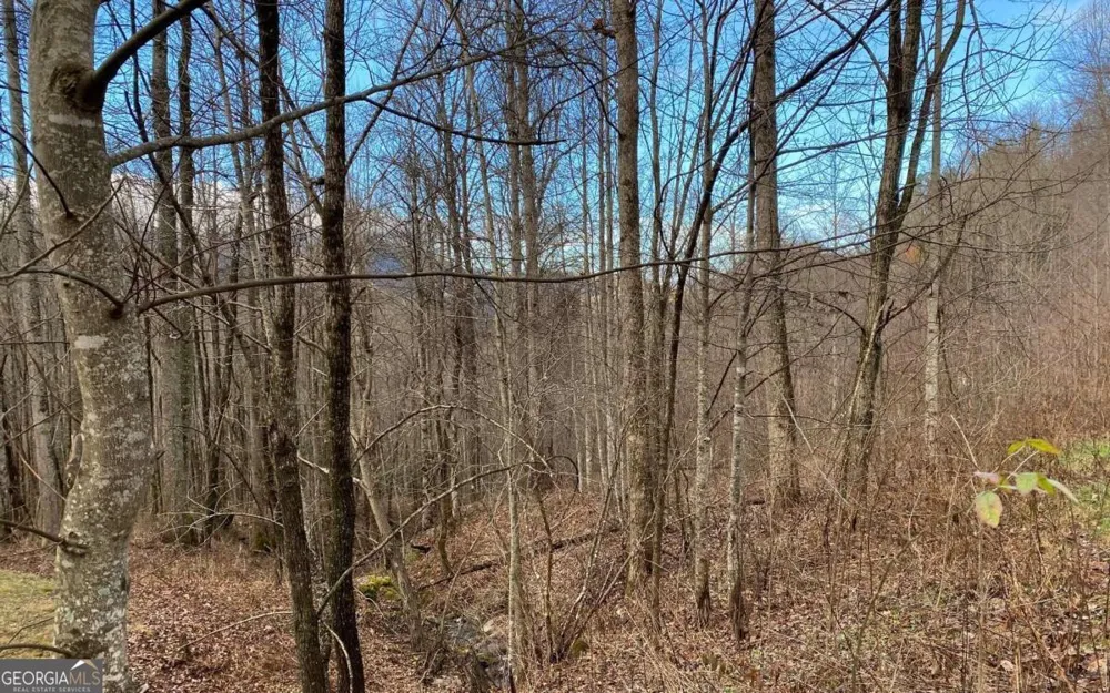 LOT M2 Georgianna LN Bryson City, NC 28713
