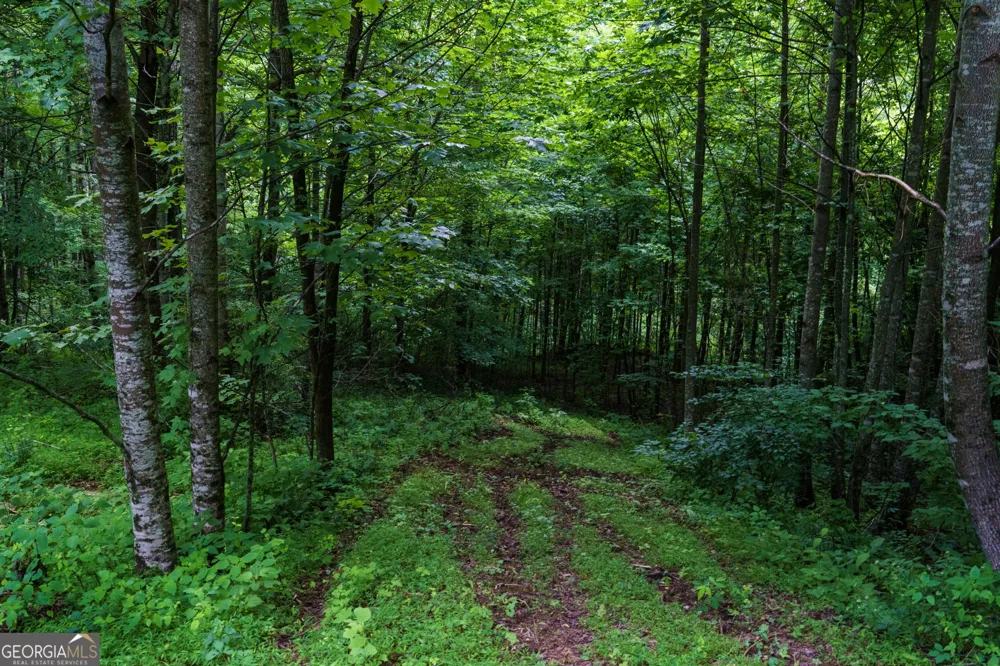LOT M2 Georgianna LN Bryson City, NC 28713