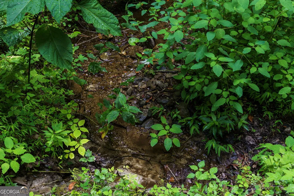LOT M2 Georgianna LN Bryson City, NC 28713