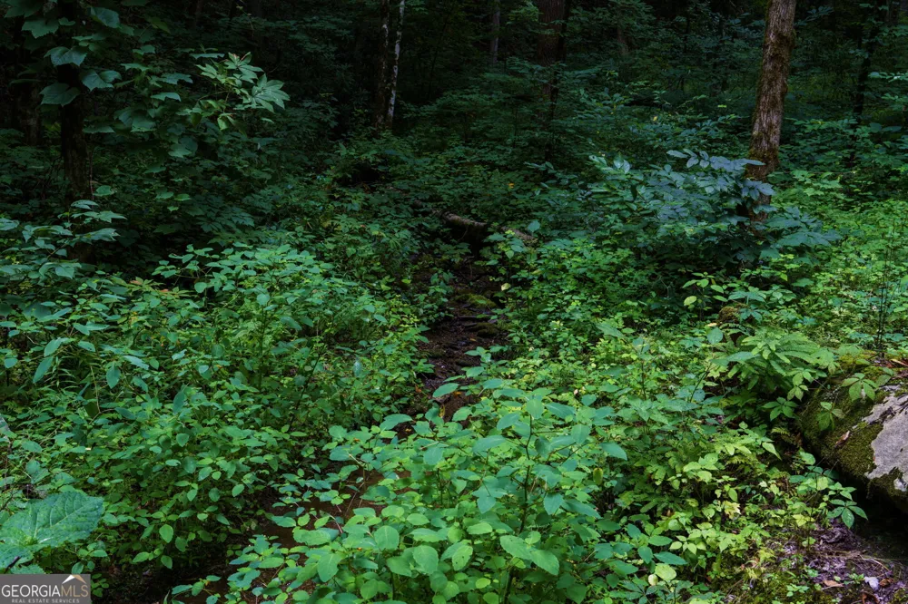 LOT M2 Georgianna LN Bryson City, NC 28713