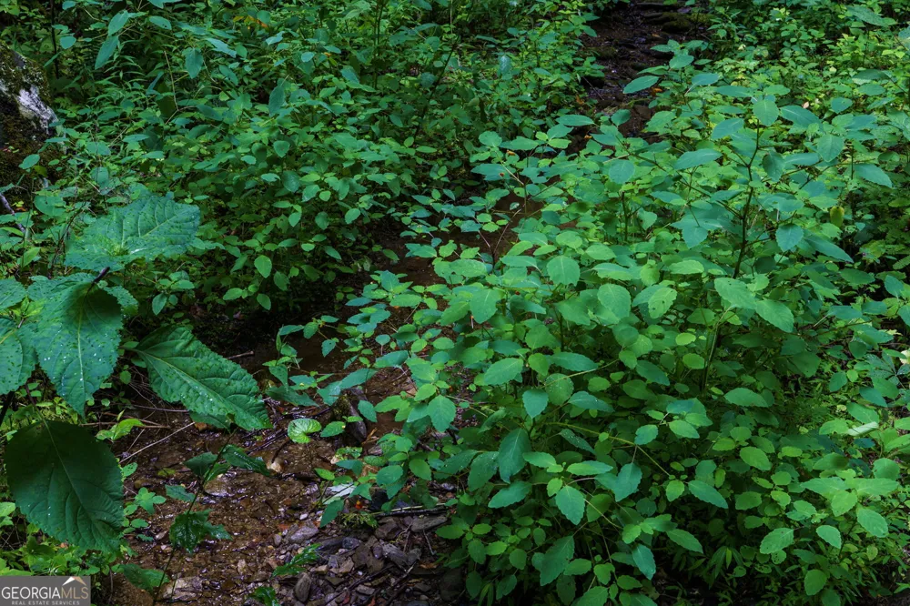 LOT M2 Georgianna LN Bryson City, NC 28713