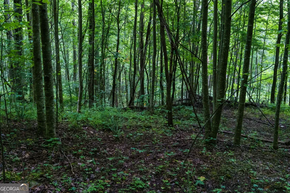LOT M2 Georgianna LN Bryson City, NC 28713