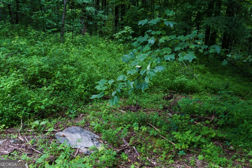 LOT M2 Georgianna LN Bryson City, NC 28713