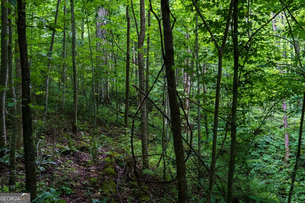 LOT M2 Georgianna LN Bryson City, NC 28713