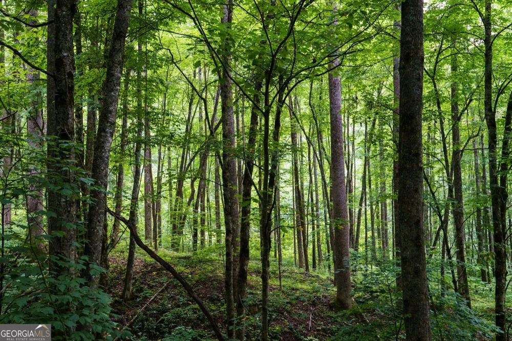 LOT M2 Georgianna LN Bryson City, NC 28713