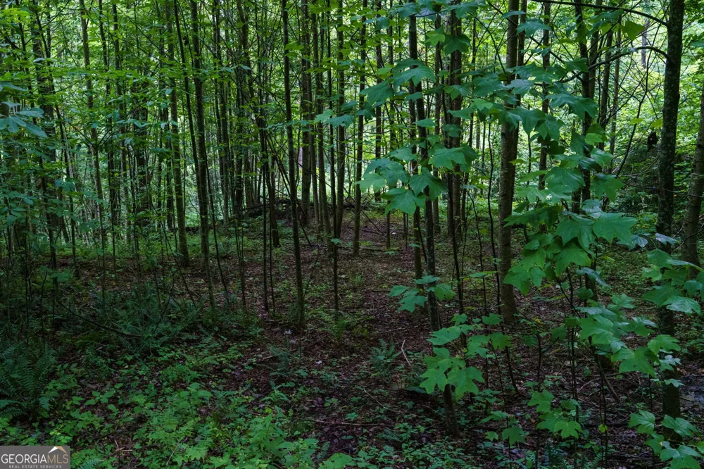 LOT M2 Georgianna LN Bryson City, NC 28713
