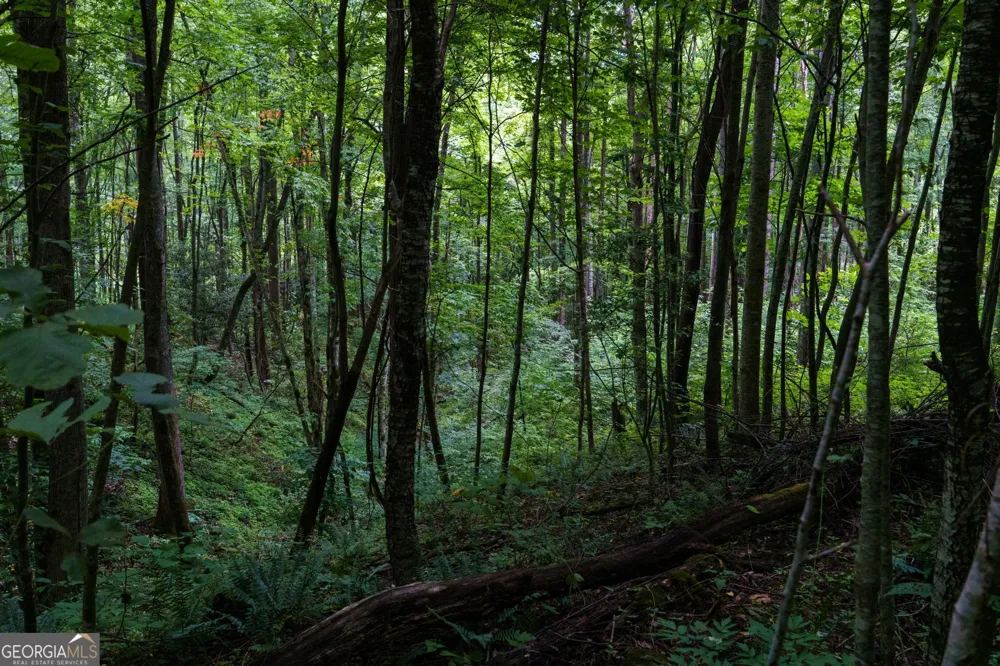 LOT M2 Georgianna LN Bryson City, NC 28713