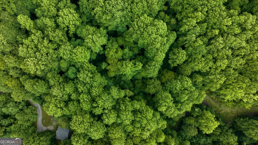LOT M2 Georgianna LN Bryson City, NC 28713