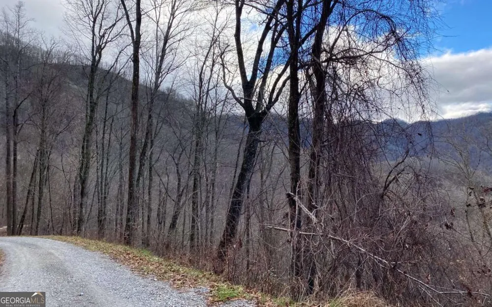 LOT OFF Buck Naked Bryson City, NC 28713